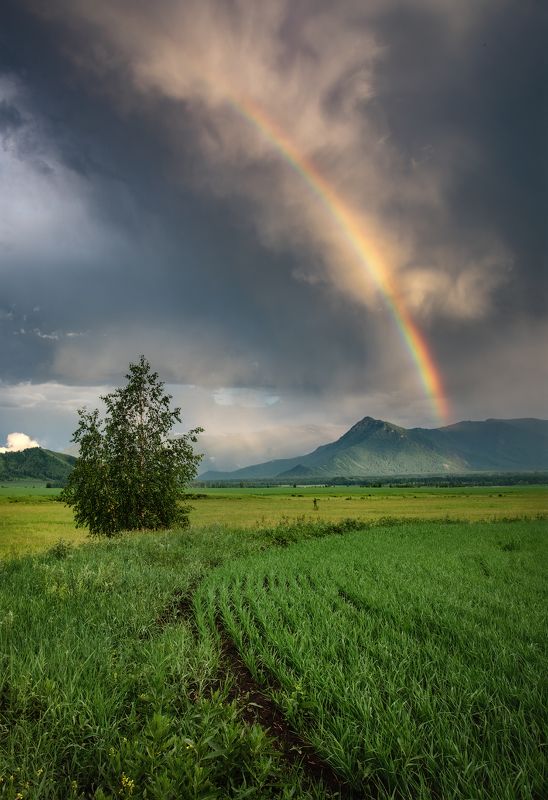 алтай, горный алтай, пейзажи алтая, усть-коксинский район, радуга, лето на алтае, горы, филаретка, уймонская долина, мульта, усть-кокса, уймонская степь, поле, гроза Радуги Уймона или Небесные явленияphoto preview
