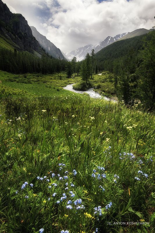 Алтайские тропыphoto preview