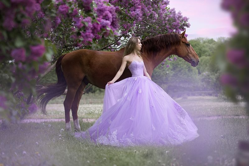 horse, horses, лошадь, конь, конныйфотограф, кэнон, canon, конный фотограф Яна Орлова,  7020028, лошади, фотографияслошадью, фотосессияслошадью, фотосессиислошадьми, коннаяфотография, pferd, horsephotographer, женский портрет, девушка   фото превью