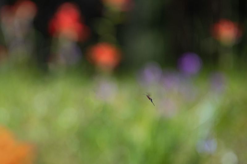 Подражание великимphoto preview