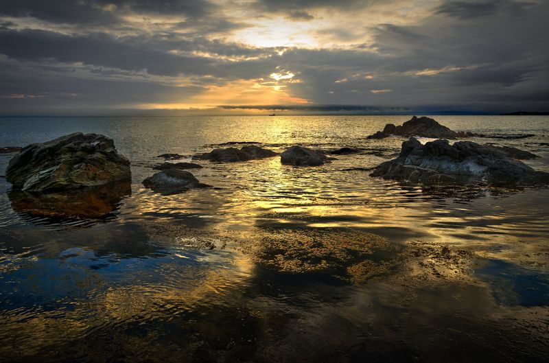 Щедрость солнцаphoto preview