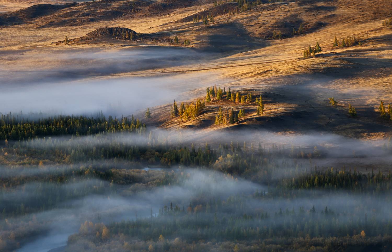 алтай, чуя, горный алтай, курай, Галина Хвостенко