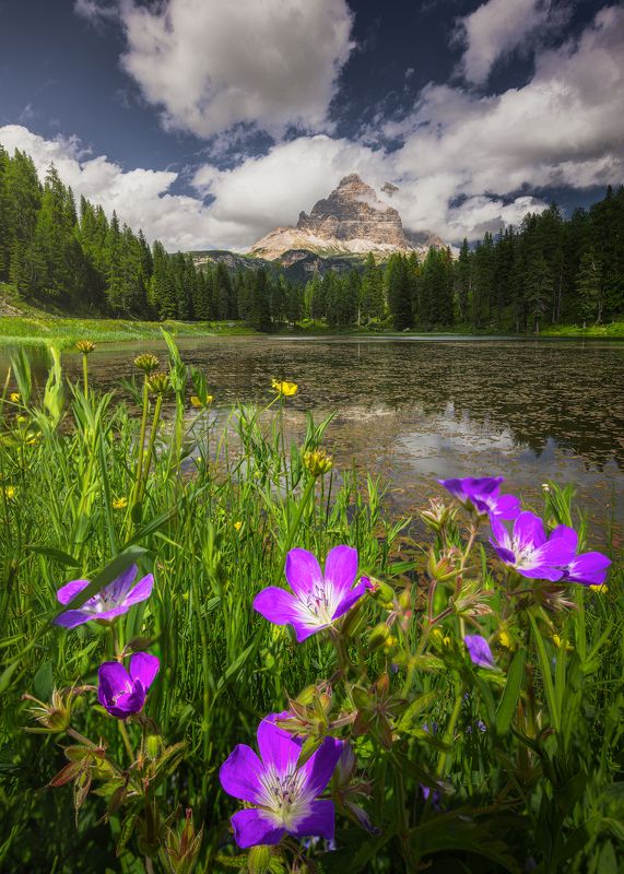 Lago Antornophoto preview