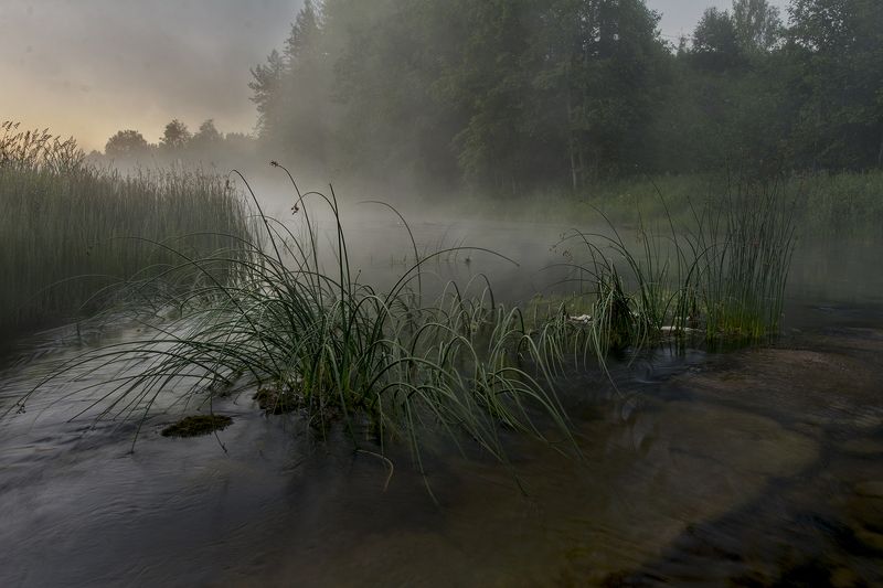 утро у ручьяphoto preview