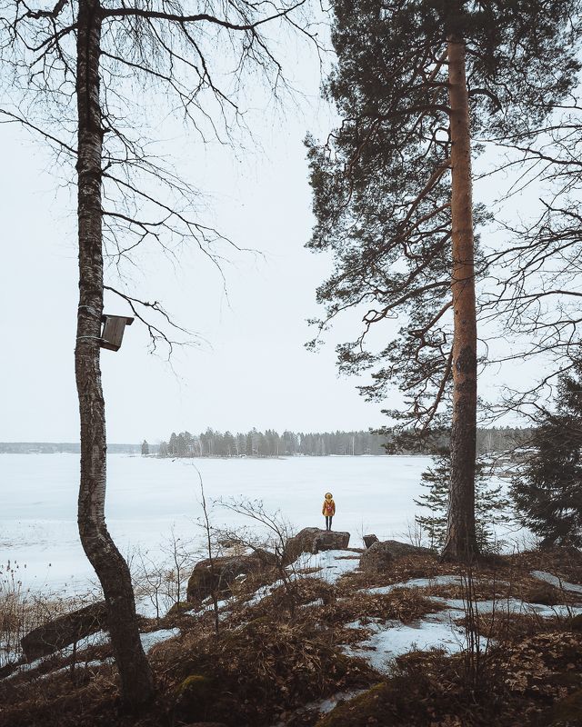 Скворечник фото превью