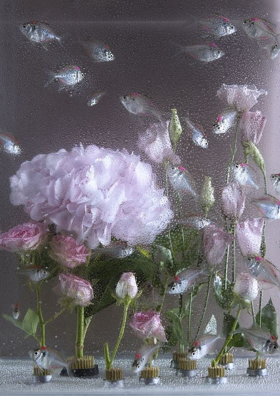 Фотопроект \