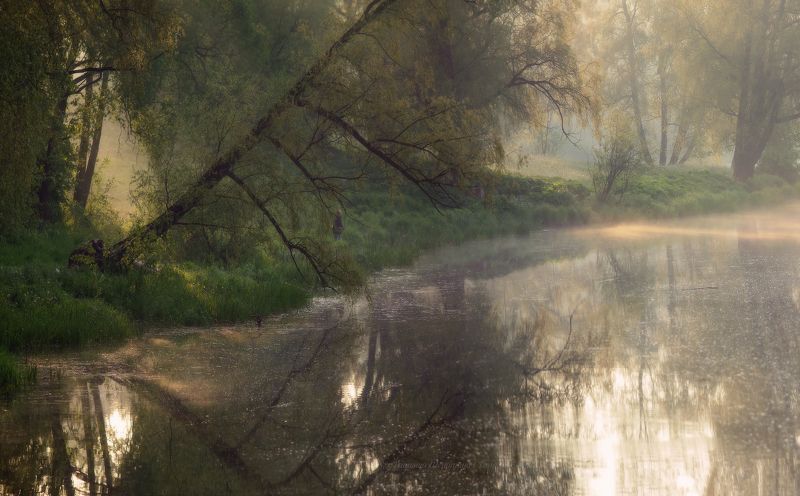питер, пейзаж, мариентальскийпарк, мариенталь,  павловск, рассвет, царскоесело, царское, landscape, tsarskoyeselo, городской пейзаж, санкт-петербург Утро в Мариенталеphoto preview