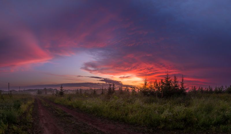 закат, лето, тепло, ярко, поле, дорога, лес, небо, тучи, облака, елки, ель, солнце, горизонт, туман На закатеphoto preview