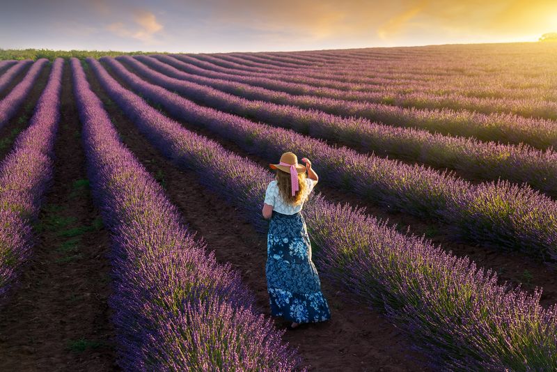 на лавандовом поле...photo preview