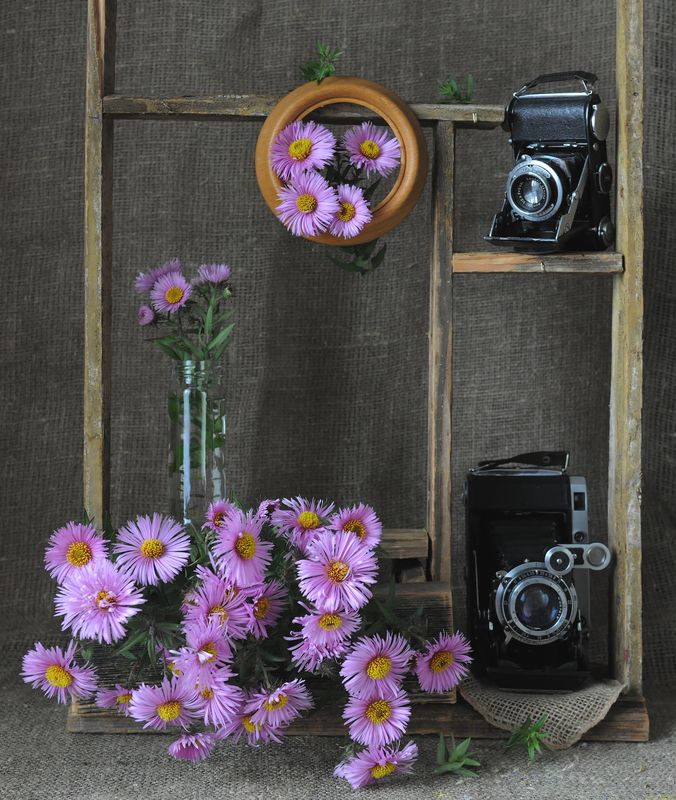 с Днём фотографа!photo preview