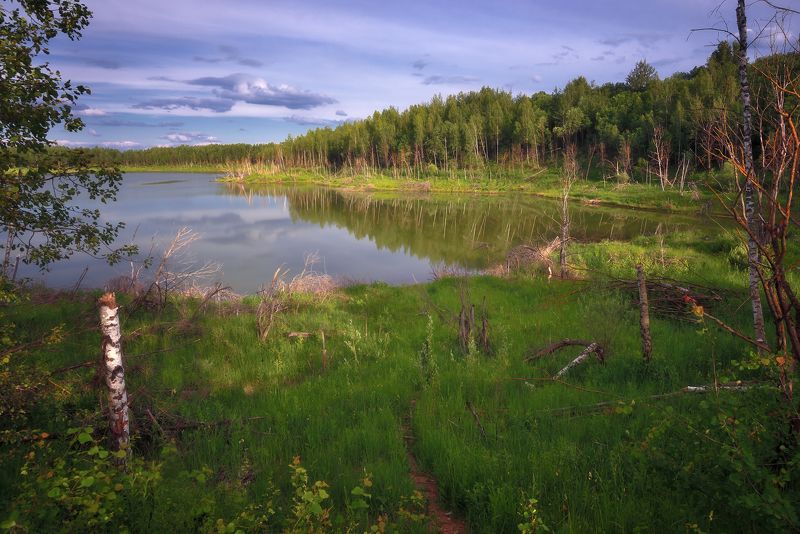 Подмосковные вечераphoto preview