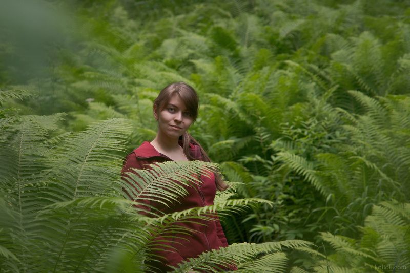ленинградская область, рагуша, папоротники В джунглях Ленинградской областиphoto preview