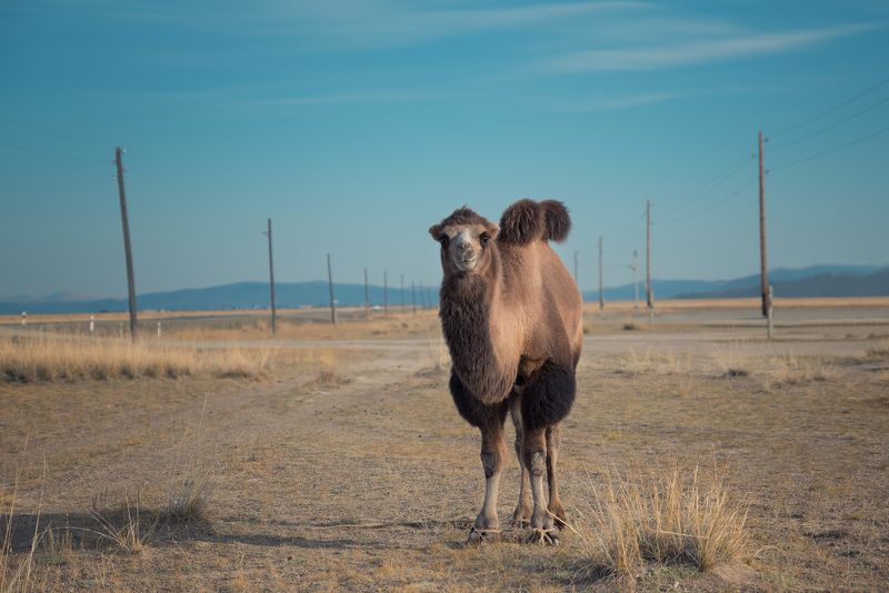 Встреча в путиphoto preview