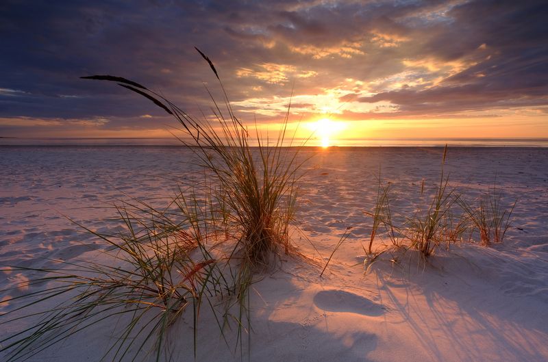 Beach on the Baltic Seaphoto preview