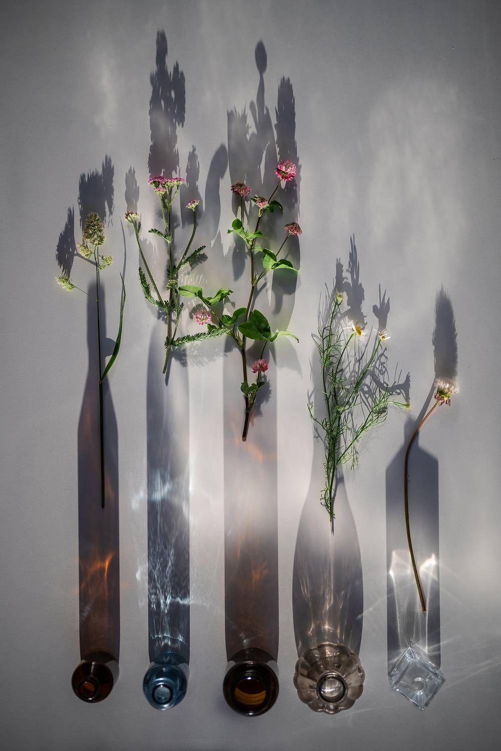 натюрморт, свет, тени, стекло, Бакбак Тата