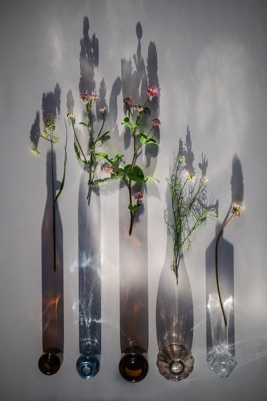 натюрморт, свет, тени, стекло Про светphoto preview