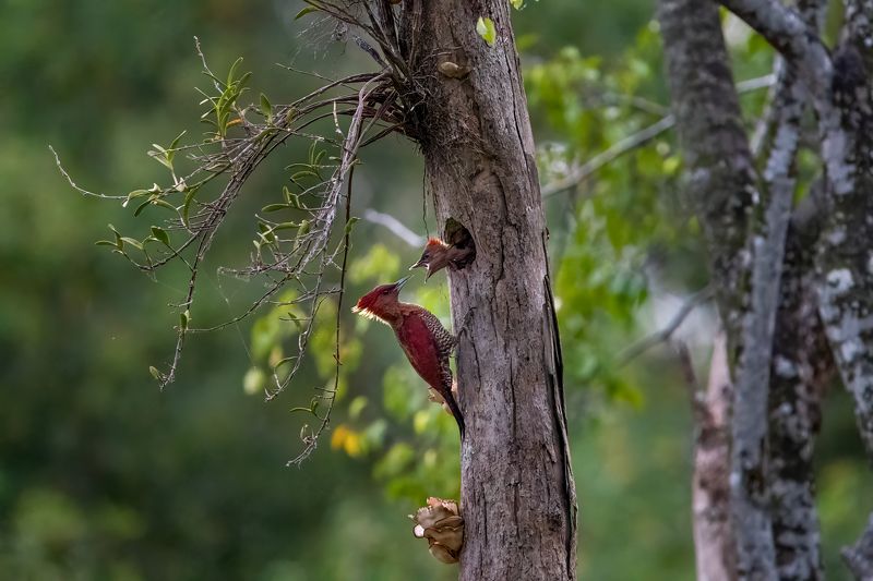 UNCONDITIONAL LOVEphoto preview