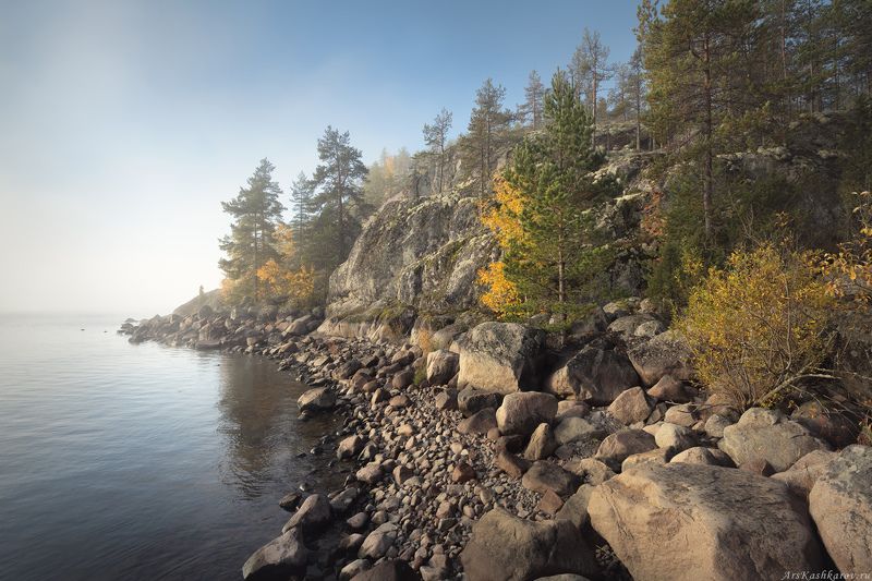 ладога, туман, ладожские шхеры, карелия, северное приладожье, скалистые острова, сосны, золотая осень, каменный пляж, луды \