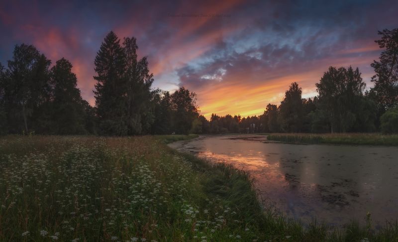 павловскийпарк, павловск, павловский, пейзаж, landscape, nature Павловский парк в белую ночьphoto preview