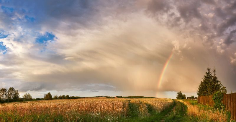 беларусь, вечер, деревня, дорога, закат, июль, лето, непогода, облака, поля, радуга Догоняя радугуphoto preview