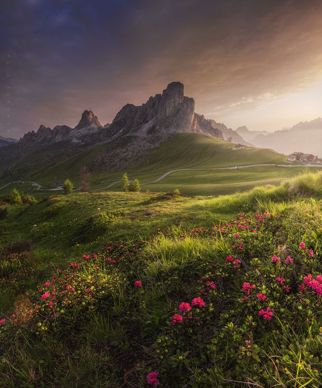 Blooming Italyphoto preview