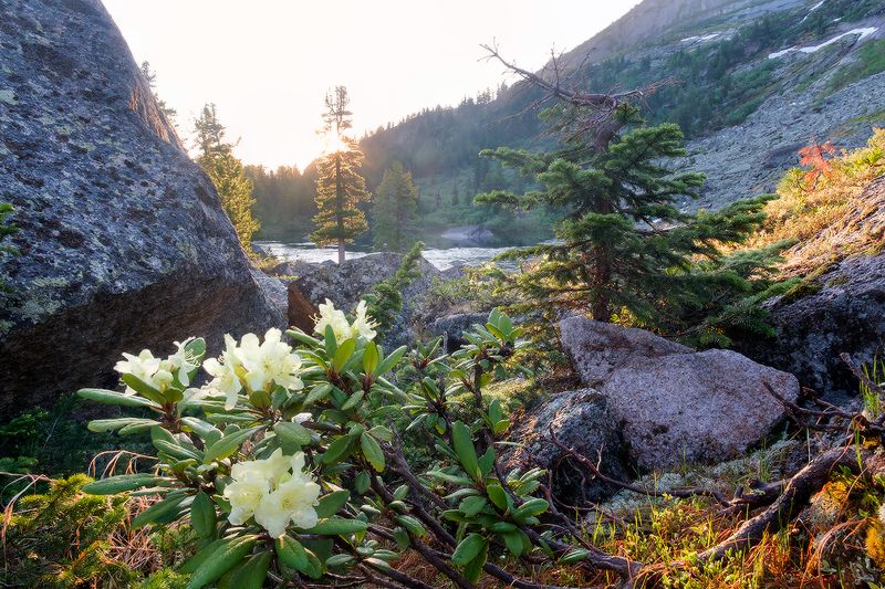 Ергаки, оз. Художников уютное местоphoto preview