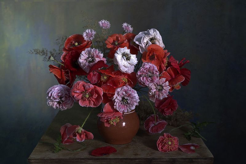 цветы, маки, вера павлухина, лето, красота Несравненные макиphoto preview