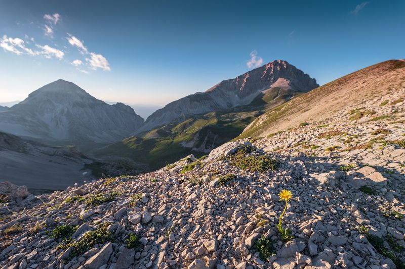 Gran Sassophoto preview