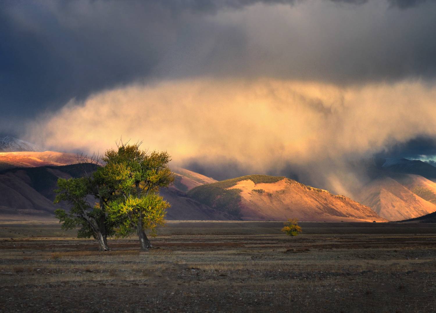 алтай, курайская степь, горный алтай, курай, Галина Хвостенко