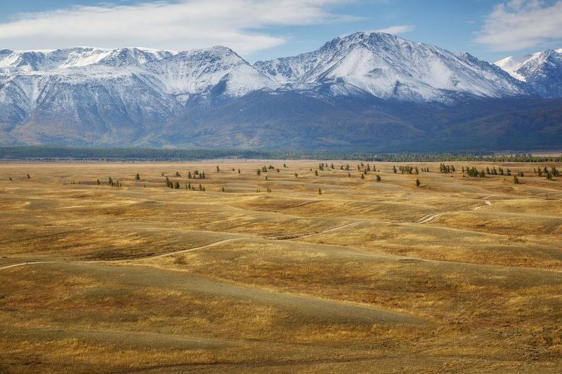 Рябь Курайской степиphoto preview