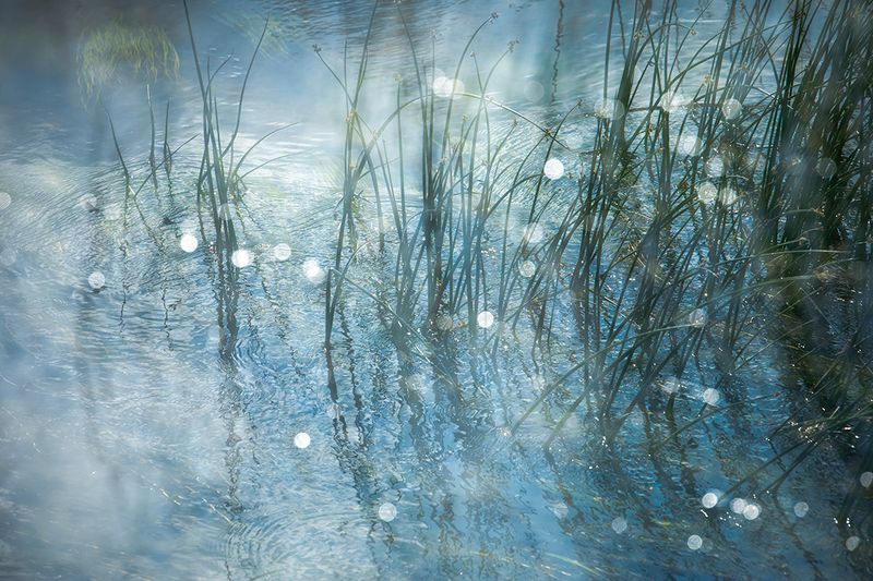 Река Поведь, деревня Подсосенье (Торжокский район Тверской области).photo preview