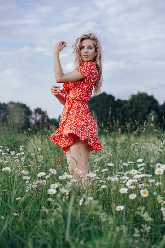 ромашки Anna фото превью