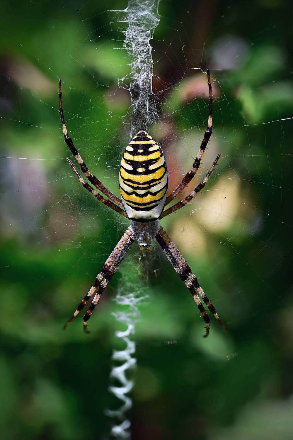, Калёв Сергей