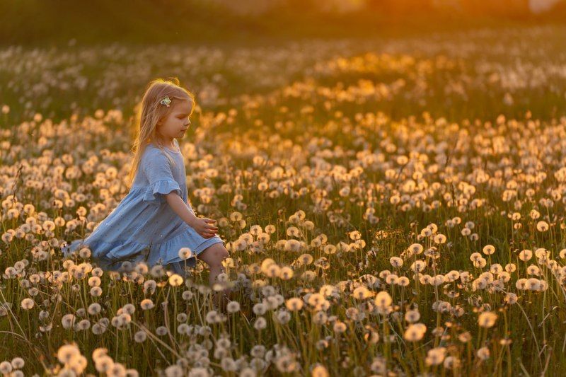 Девочка бежит, девочка, одуванчики Бегущая по волнам photo preview