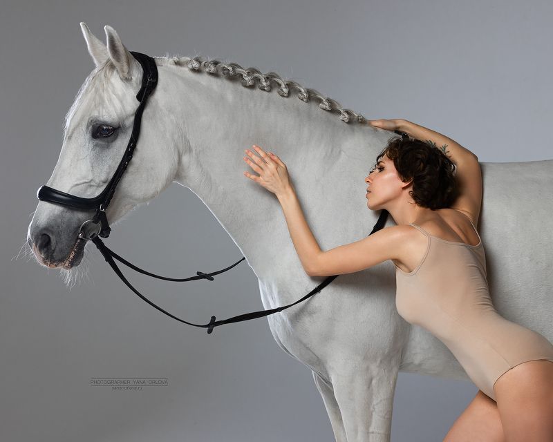 horse, horses, лошадь, конь, конныйфотограф, кэнон, canon, 7020028, лошади, конный фотограф Яна Орлова,  фотографияслошадью, фотосессияслошадью, фотосессиислошадьми, коннаяфотография, pferd, horsephotographer, женский портрет, девушка   фото превью