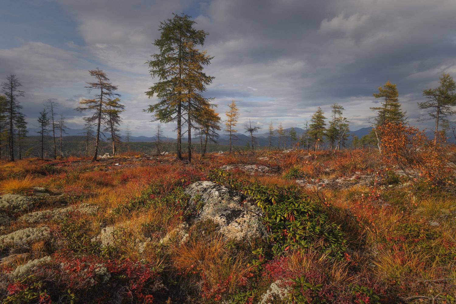 Колыма. Автор: Морозов Сергей , Морозов Сергей