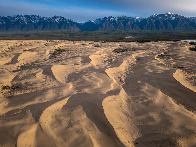 чарские пески, пустыня, горы, кодар, дюны, восход, desert, mountains, kodar, dunes, sand, sunrise photo preview