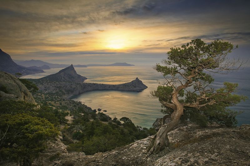 крым, пейзаж, новый свет, море, небо, утро, природа, красота, Киммерия. фото превью