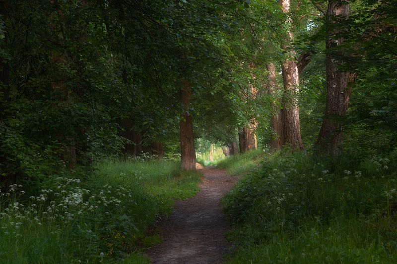 Тропинкаphoto preview