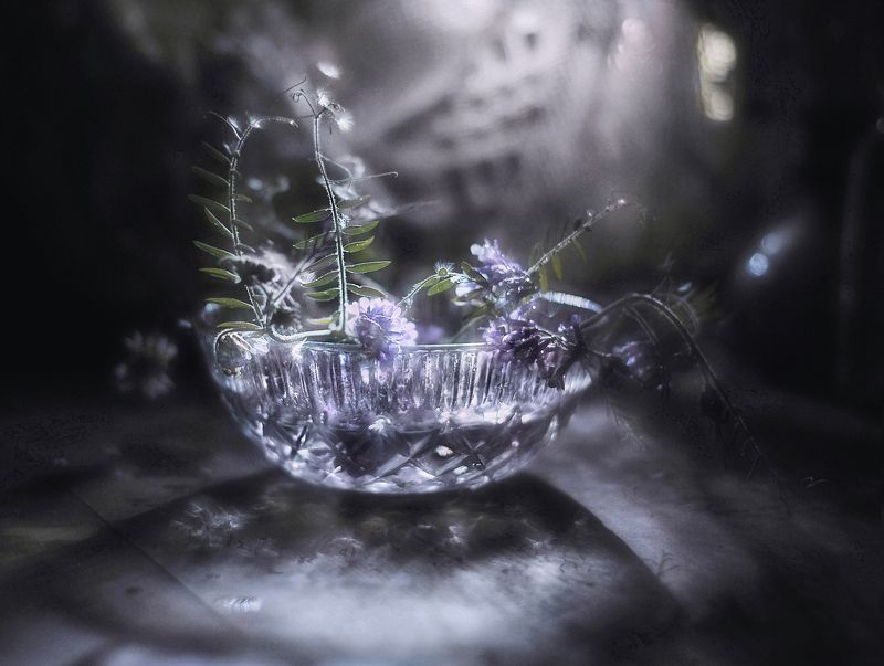 Всё так хрупко под лунойphoto preview