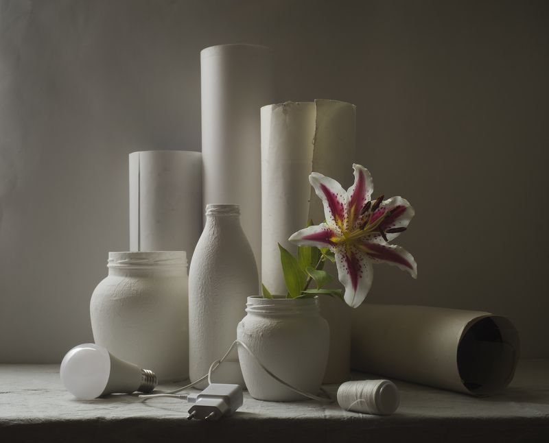 Расцвела под окошком лилия.photo preview