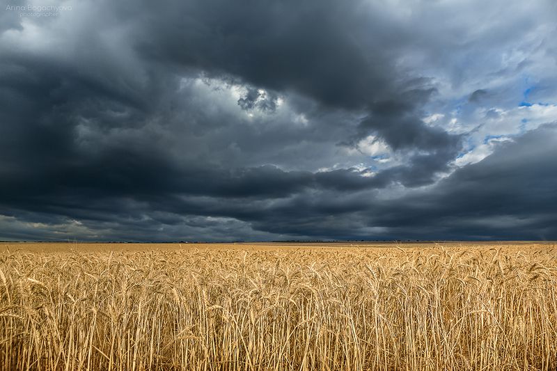 Крым, район села Тургеневка, гроза так и не пришла. 2024photo preview