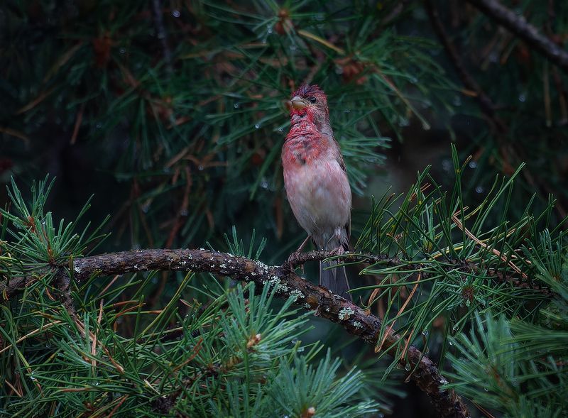 Вижу Витю!!!!!!photo preview