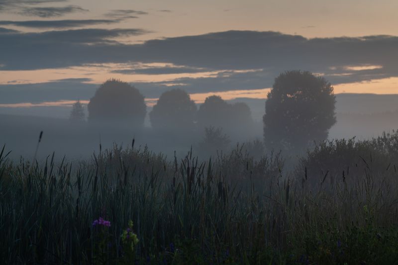 вечер, туман, закат, поле, луг, облако, камыш Утонуть в тумане....photo preview