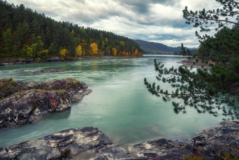 Катуньphoto preview