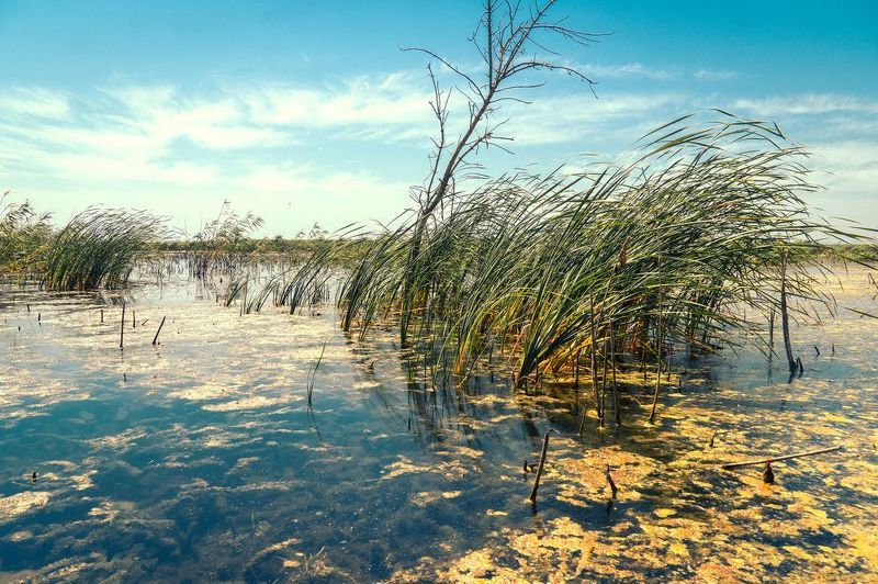 На мелководьеphoto preview