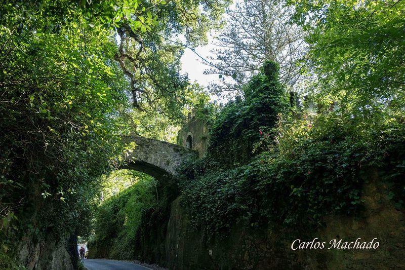 Nature, Landscapes,  Sintraphoto preview