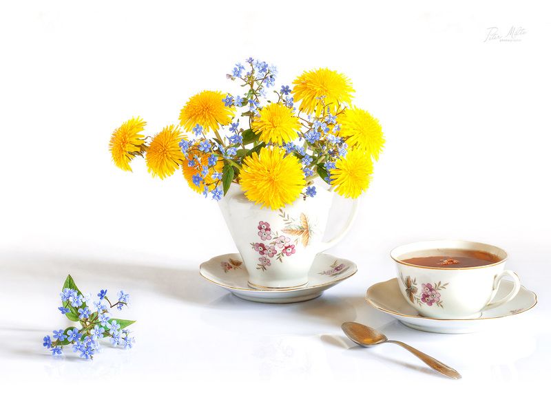 На беломphoto preview