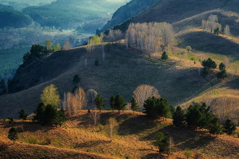 Алтайскими дорожкамиphoto preview