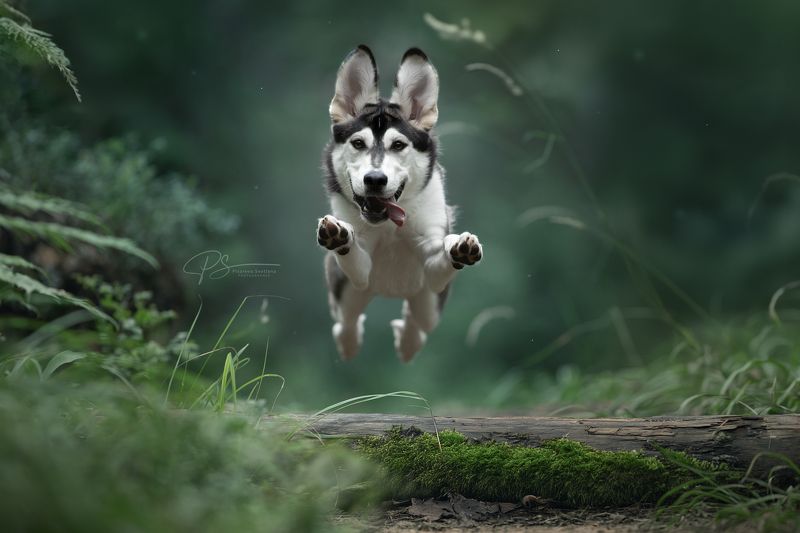 Летящий позитивphoto preview